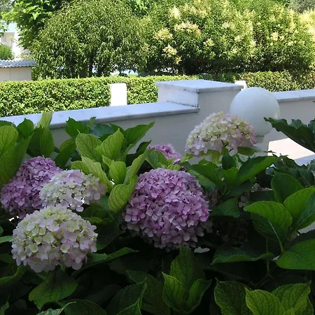 Danae Limenas (Thasos)